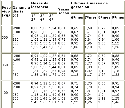 EQUIVALENCIAS KG equivalencias kg: